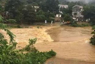 深圳爆料山洪最新消息新闻,深圳山洪突发！最新救援进展及受灾情况通报  第2张